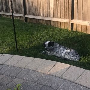 Meet your Posher, Thomas